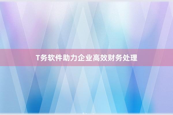 T务软件助力企业高效财务处理