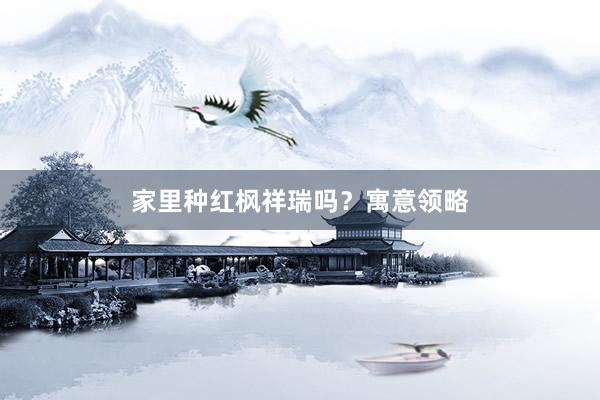 家里种红枫祥瑞吗？寓意领略